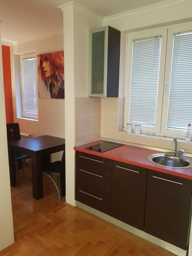 Rajiceva 5- Apartman Sa Prostranom Terasom I Garaznim Mestom Kragujevac Ngoại thất bức ảnh