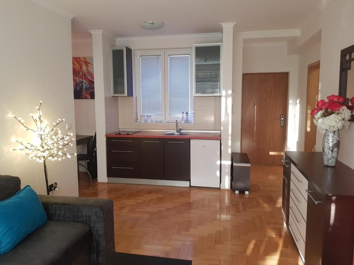 Rajiceva 5- Apartman Sa Prostranom Terasom I Garaznim Mestom Kragujevac Ngoại thất bức ảnh